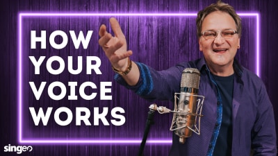 How Your Voice Works img